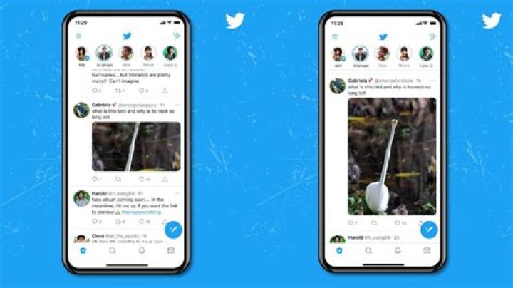 Twitter Spaces for desktop, mobile web browsers now available – India TV