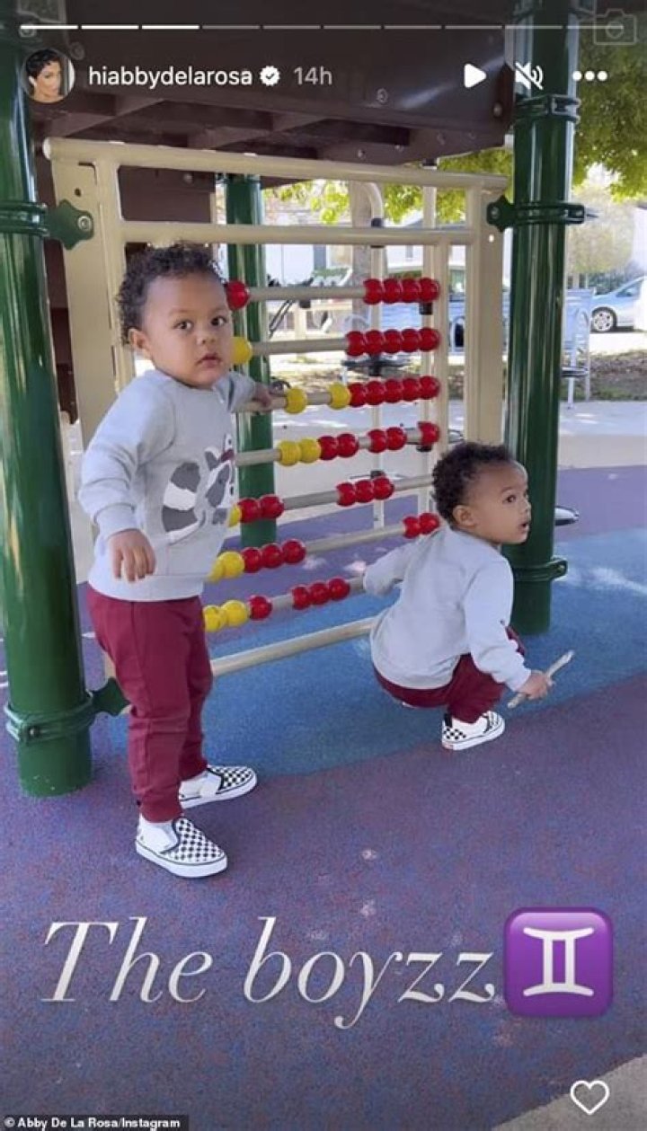 Nick Cannon Expecting Twin Sons With Abby De La Rosa