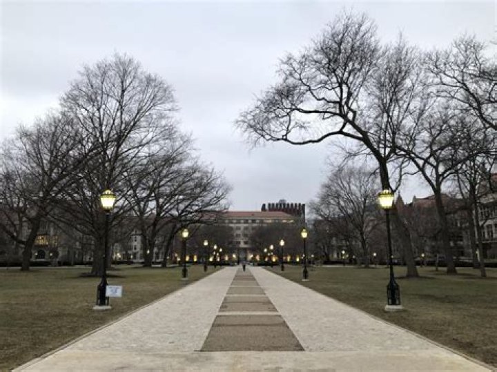 Niv Sparkes Uchicago Death: University Announces Death of Second