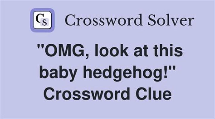 Discover The Adorable World Of Baby Hedgehogs: OMG Look At This Baby Hedgehog!