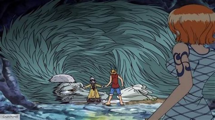 Understanding One Piece Anime Fillers: A Comprehensive Guide