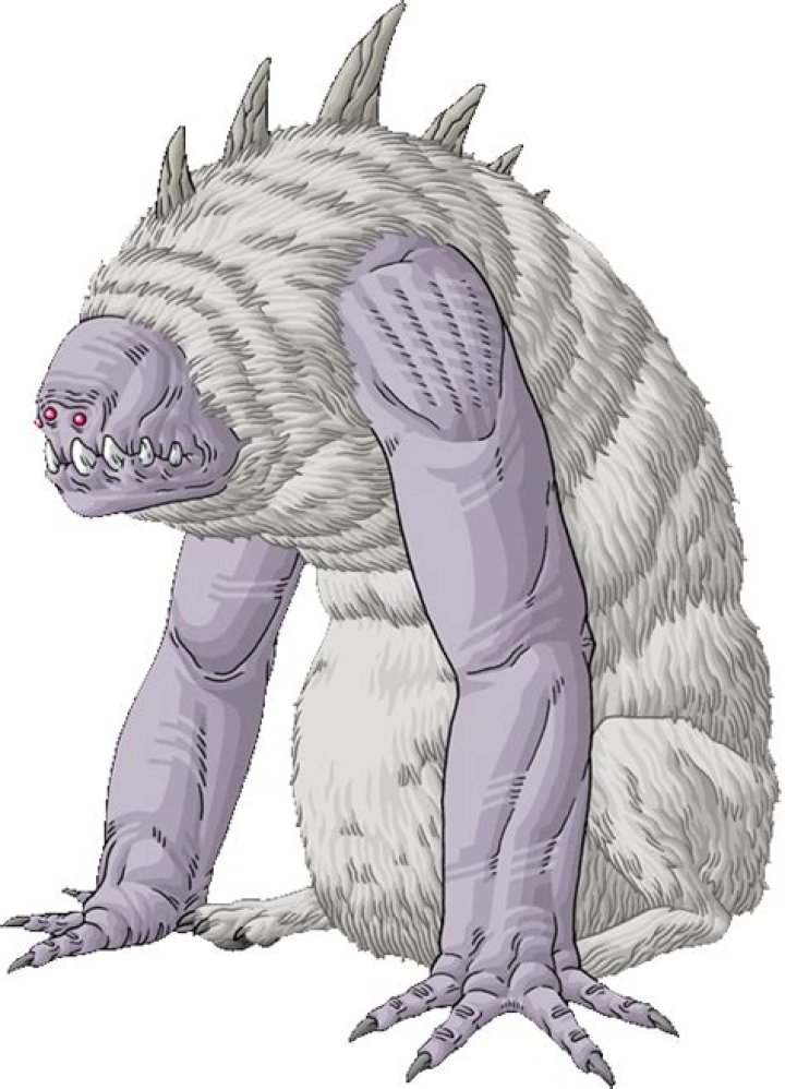 Understanding Oorn: A Comprehensive Guide To Its Significance And Applications