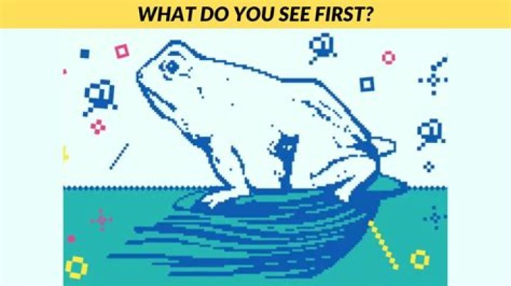 What animal you see reveals your traits – India TV
