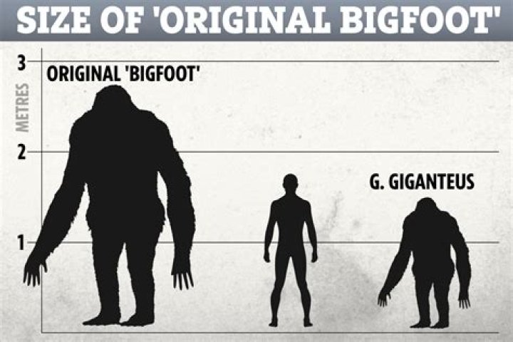 'Original Bigfoot' was giant ape twice the size of a human that roamed Earth 2million years ago
