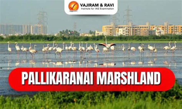Pallikaranai Pin Code | Postal Code (Zip Code) of Pallikaranai, Kanchipuram, Tamil Nadu, India