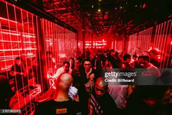 Exploring The Enigmatic Charm Of Perro Negro Miami