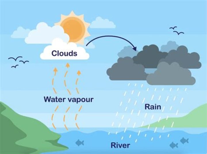 Ever wondered why it 'rains' inside a plane? Here’s what the water droplets really are
