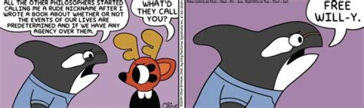 Rae Free Willy: The Inspirational Journey Of A Young Advocate