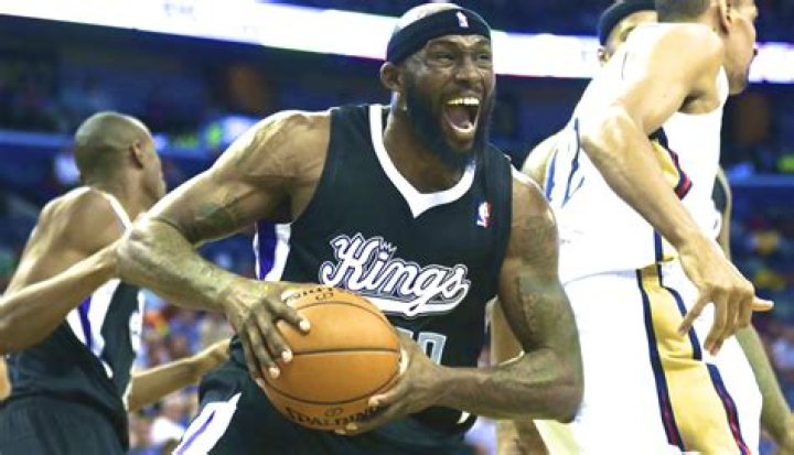 Reggie Evans Net Worth, Income, Salary, Earnings, Biography, How much money make?