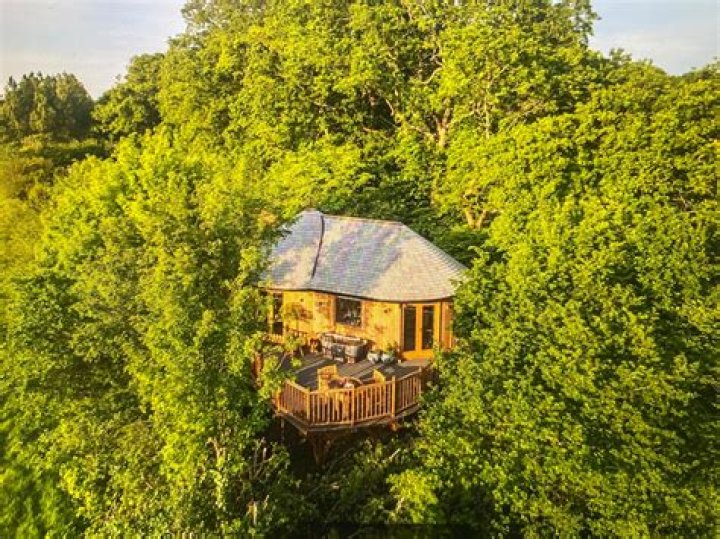 Chewton Glen Treehouses - Lifestyle and travel reviews on Glamour.com