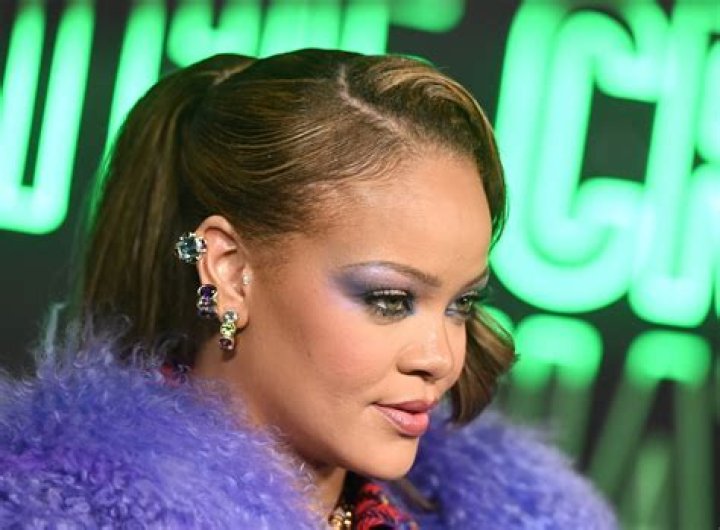 Rihanna Makes Purple Eye Shadow Up to the Brow Bone Look Extremely Casual — See Photos