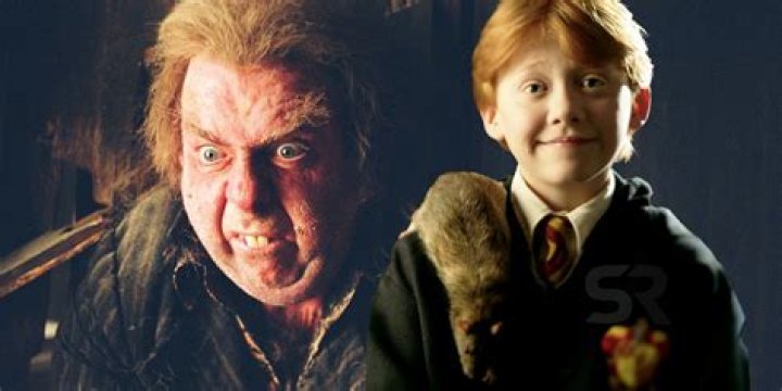Ron Weasley's Rat Human: The Ultimate Guide