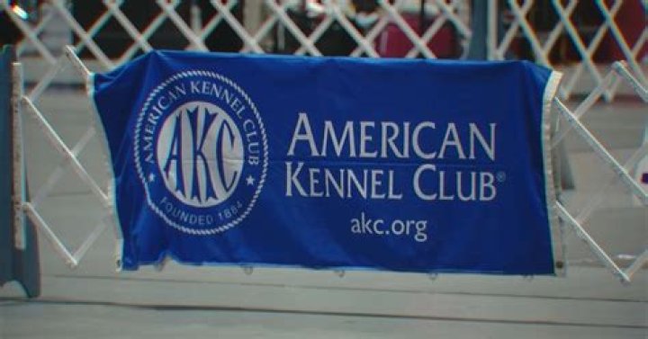 RV fire kills five dogs outside of Florida dog show