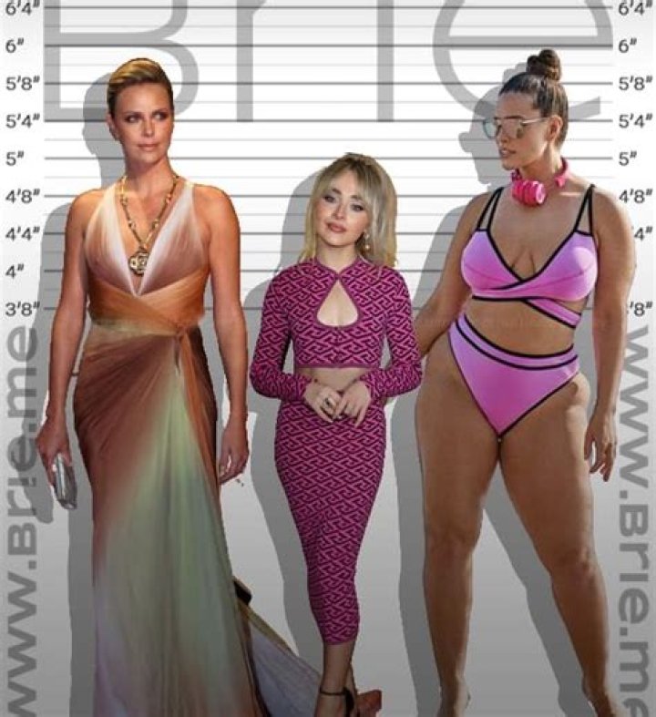 Sabrina Carpenter Height In Feet: Discovering The Rising Star's Stature