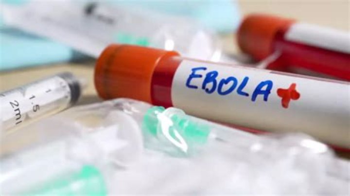 Ebola Virus Prevention: Scientists Found New Drug Target For Ebola Prevention. Know Everything about Symptoms | Health News