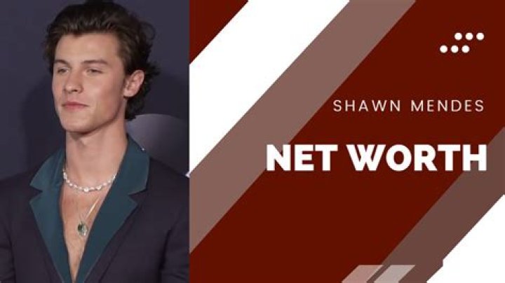 Shawn Turner Net Worth, Income, Salary, Earnings, Biography, How much money make?