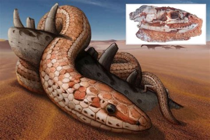 Skull of extinct ancient snake with two LEGS like Bible's 'Garden of Eden' serpent discovered in Argentina