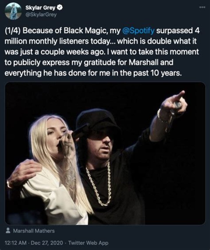 Unraveling The Skylar Grey And Eminem Relationship: A Unique Bond In Music