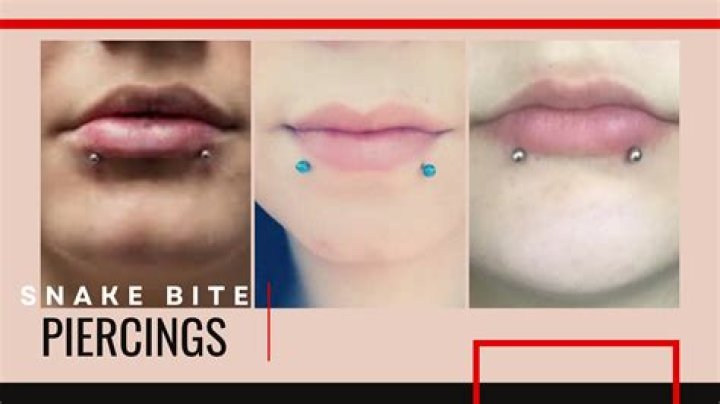 Everything You Need To Know About Snake Bite Piercing