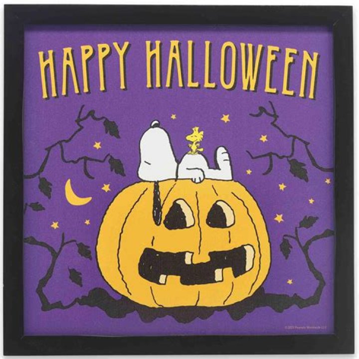 Snoopy's Spooktacular Halloween Adventures