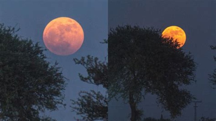 FIRST photos of the stunning moon that lit up the sky on June 14 – India TV