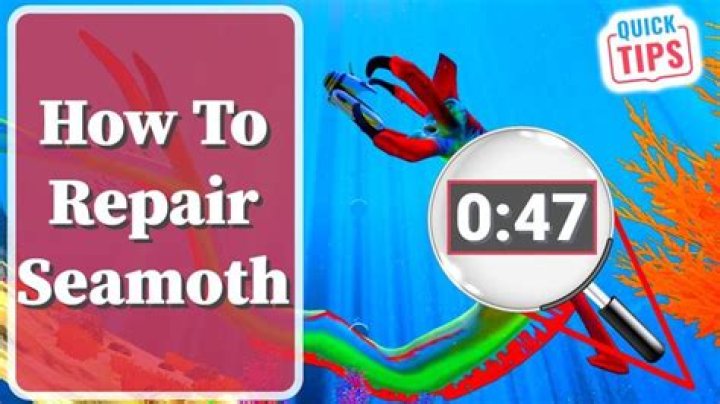 Quick Answer: Subnautica How To Repair Seamoth