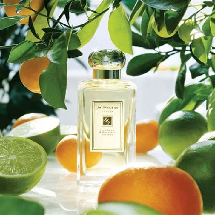 Superdrug launch Jo Malone ‘superdupe’ mandarin and lime basil fragrance… and it’s £40 cheaper – The US Sun
