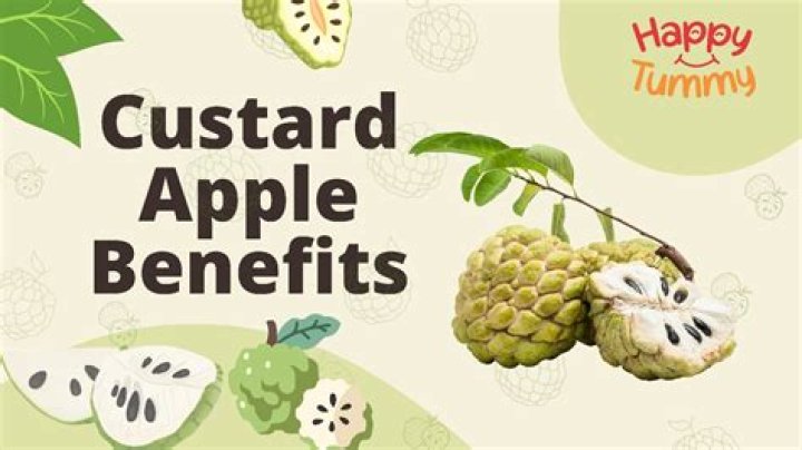 7 benefits of having custard apple this season – India TV