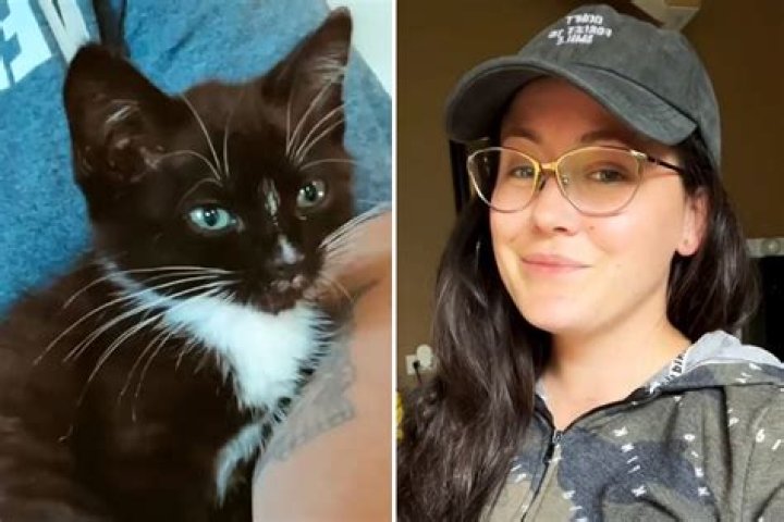 Teen Mom Jenelle Evans slammed by fans for ‘collecting animals’ after showing off pet cat despite dog killing scandal