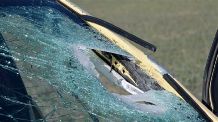 Three Arvada high school students arrested in rock-throwing horror that ended in death of Colorado woman driving to work