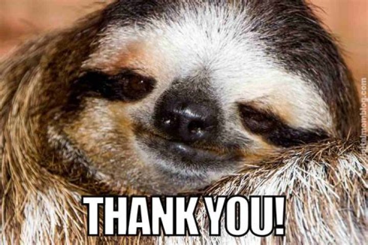 Thank You Memes: The Ultimate Guide To Expressing Gratitude In A Fun Way