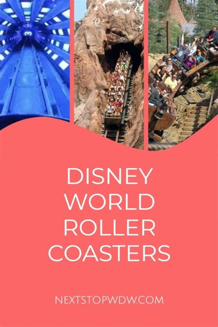 Disney World's Best Roller Coasters