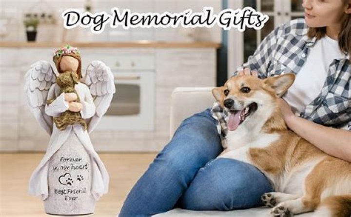 The Miz & Maryse’s Dog Passes Away