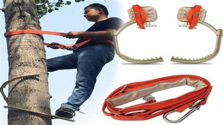 Unleashing The Heights: The Ultimate Guide To Tree Climbing Spikes