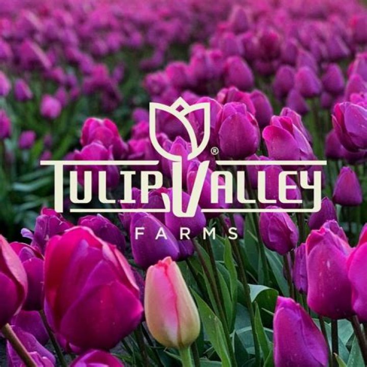 Tulip Valley Farms honors the four victims in Moscow murders