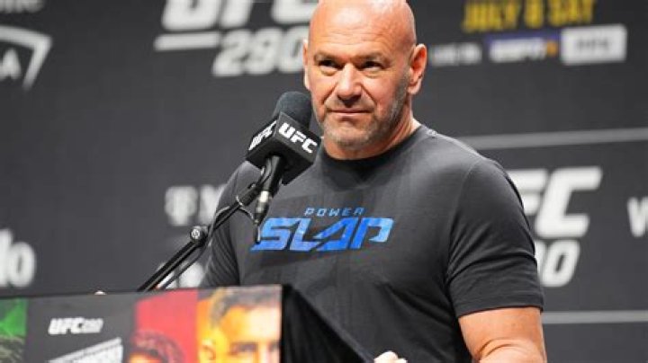 Dana White issues statement on Brock Lesnar UFC 300 return rumours amid fan theory WWE icon will fight on card