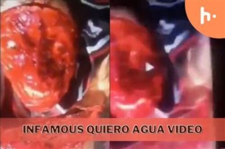 Understanding The Viral Phenomenon Of "Video Gore Quiero Agua"