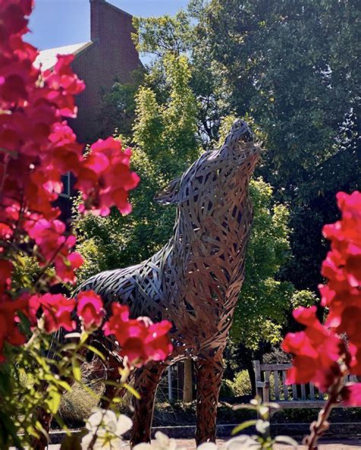 Earth Day co-founder killed, composted girlfriend