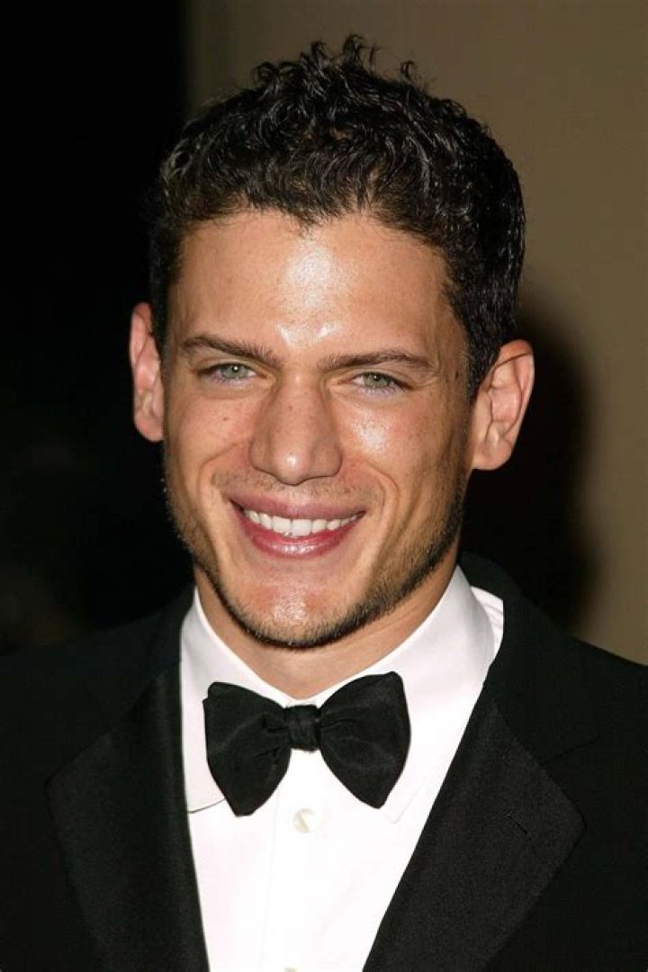 Wentworth Miller: The Life And Career Of A Talented Actor