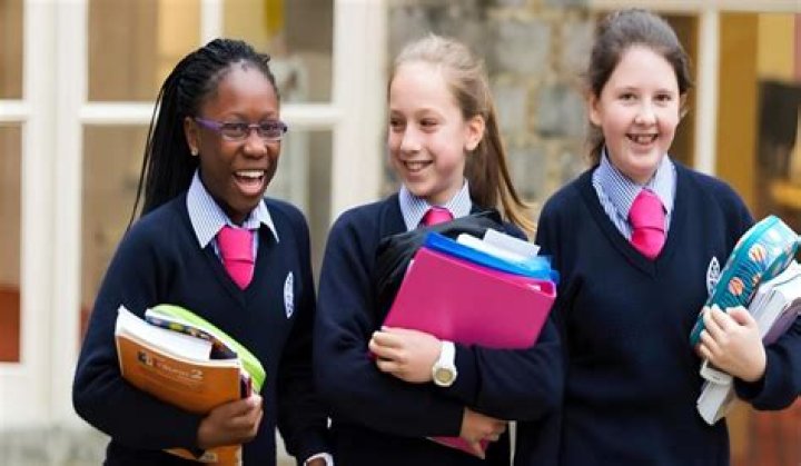 What Andrew Gutmann Letter to Brearley School Decrying Anti-Racism Policies Said