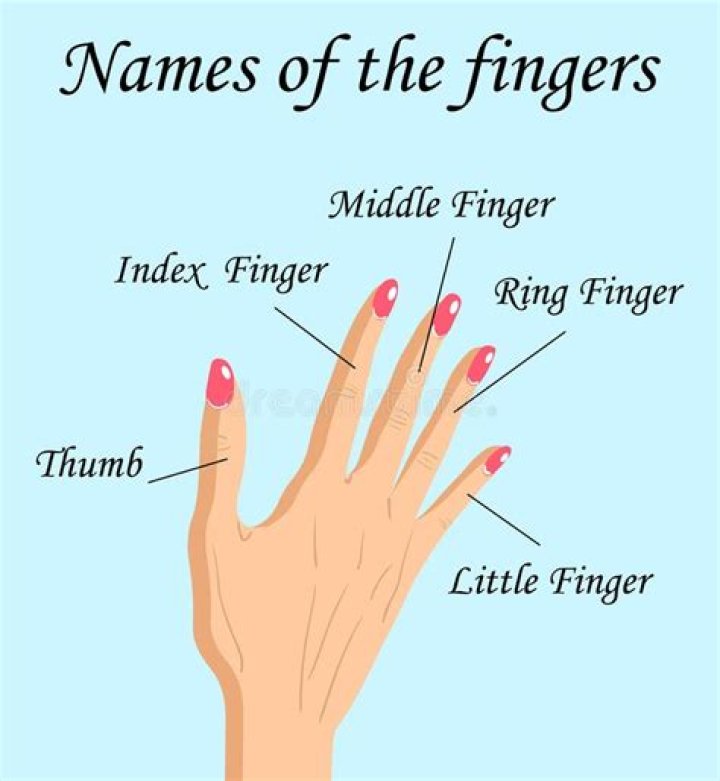 What Are The Names Of Our Fingers