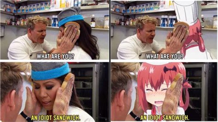 Quick Answer: What Are You An Idiot Sandwhich