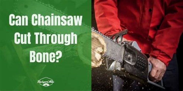 What Can Cut Through Bone