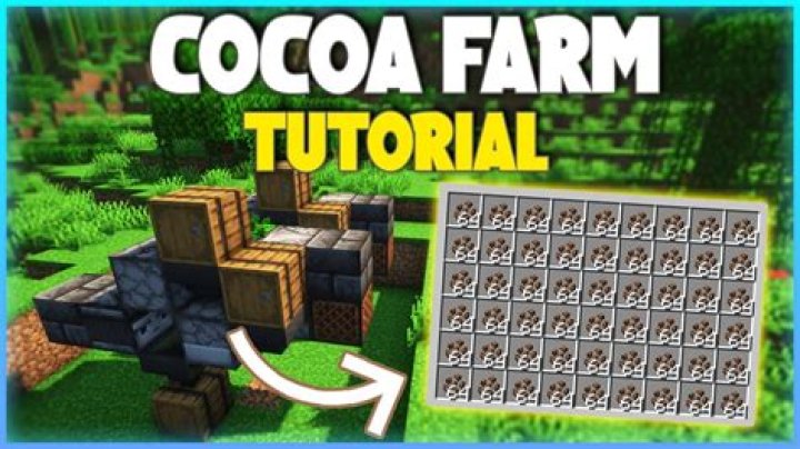 What Can You Craft With Cocoa Beans In Minecraft