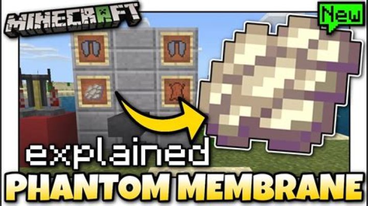 Question: What Can You Craft With Phantom Membrane