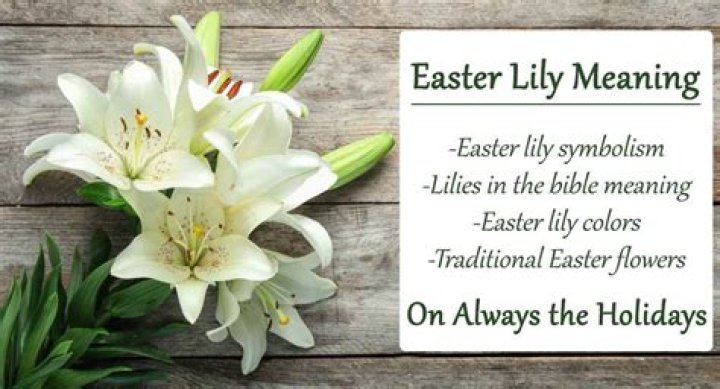 What Color Are Easter Lilies
