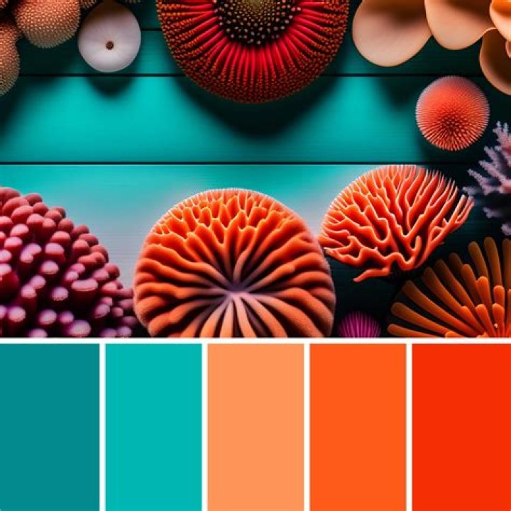 Quick Answer: What Colors Go Well With Coral