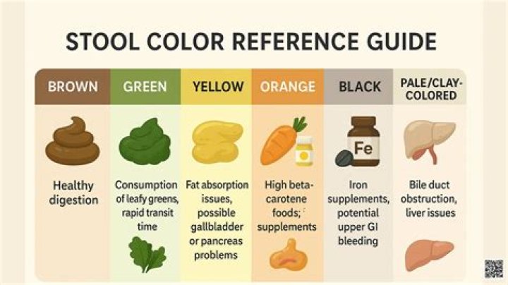 What Does Clay Colored Stools Mean