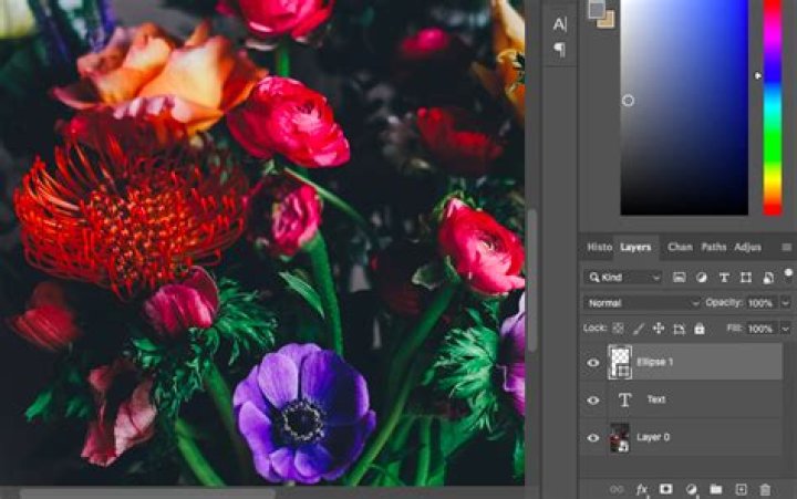 Quick Answer: What Does Copy Css Mean In Photoshop