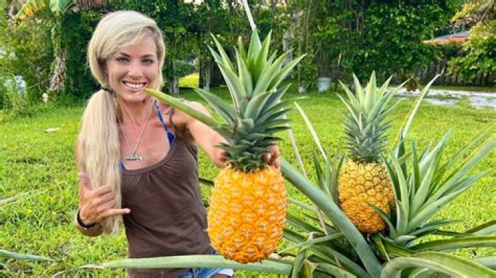 Quick Answer: What Does Pineapple Do For A Woman